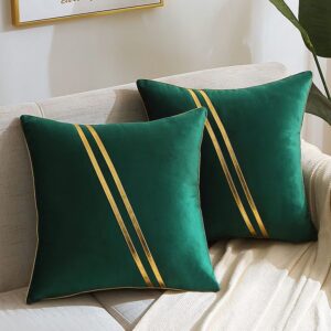 WACOMECO Set of 2 Gold Throw Pillow Covers - Soft Decorative Luxury Velvet Cushion Covers Pillow Cases with Gold Leather for Sofa Bedroom Livingroom Car, 18 x 18 in, Dark Green